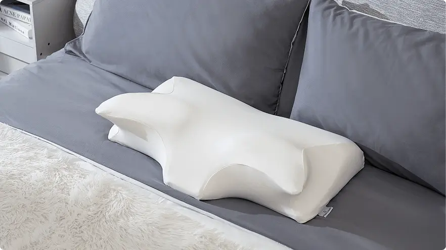 Ergo Z Pillow 6